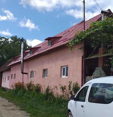 Cîrţişoara Casa Boierului Imbri 빌라 외부 사진