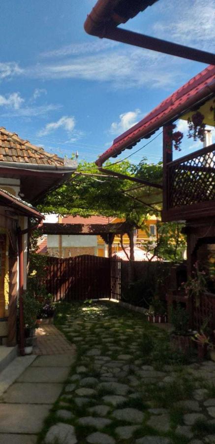 Cîrţişoara Casa Boierului Imbri 빌라 외부 사진
