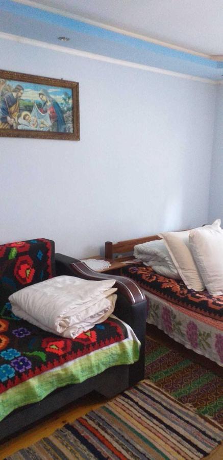 Cîrţişoara Casa Boierului Imbri 빌라 외부 사진