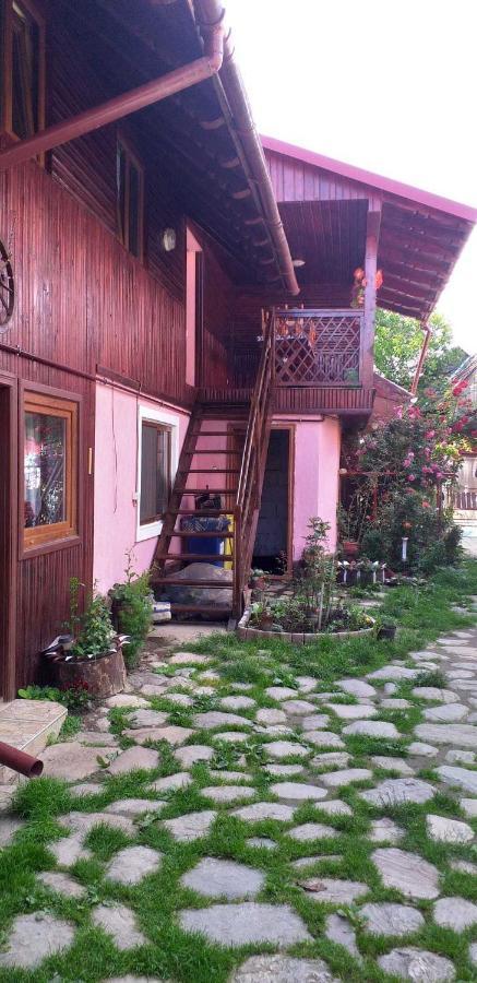 Cîrţişoara Casa Boierului Imbri 빌라 외부 사진