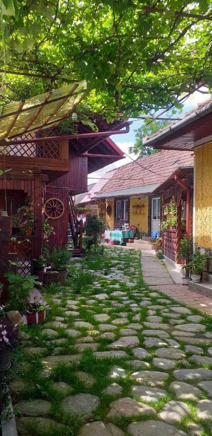Cîrţişoara Casa Boierului Imbri 빌라 외부 사진
