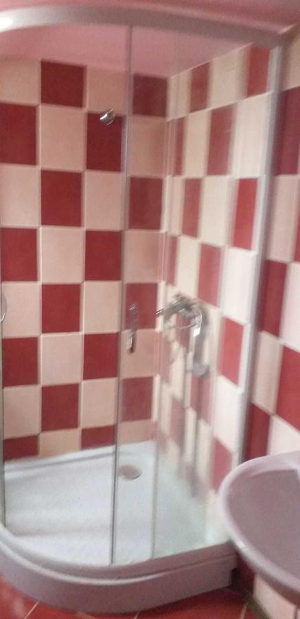 Cîrţişoara Casa Boierului Imbri 빌라 외부 사진