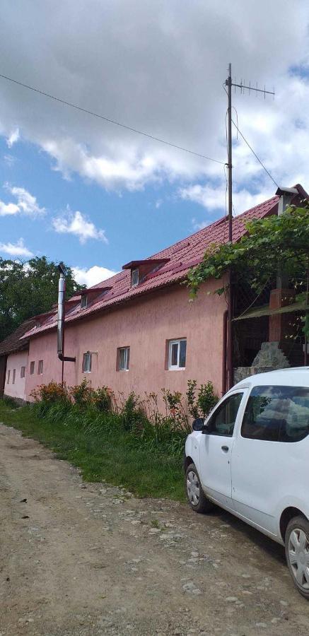 Cîrţişoara Casa Boierului Imbri 빌라 외부 사진
