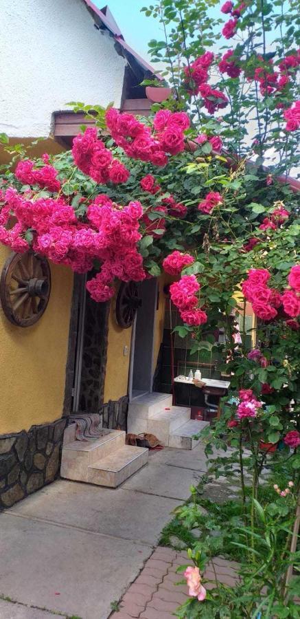 Cîrţişoara Casa Boierului Imbri 빌라 외부 사진