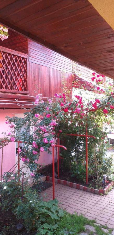 Cîrţişoara Casa Boierului Imbri 빌라 외부 사진