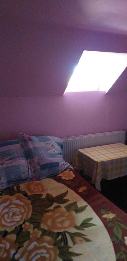 Cîrţişoara Casa Boierului Imbri 빌라 외부 사진